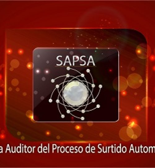 Sistema Auditor del Proceso de Surtido Automatizado